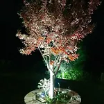 Chalet Luxury Chalet Villa On Mountain Top In Kalavryta With Amazing View