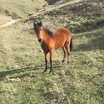 Luxury Chalet Villa On Mountain Top In Kalavryta With Amazing View Chalet