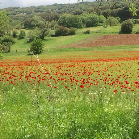 Luxury On Mountain With Great View * كالافريتا