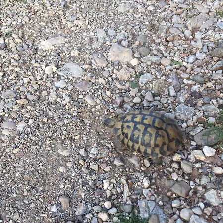 شاليه Luxury On Mountain With Great View