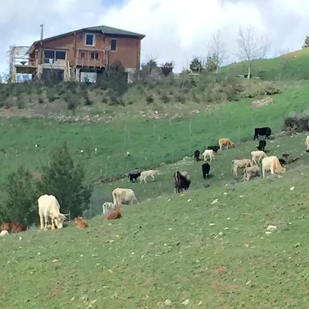 Luxury Chalet Villa On Mountain Top In Kalavryta With Amazing View *