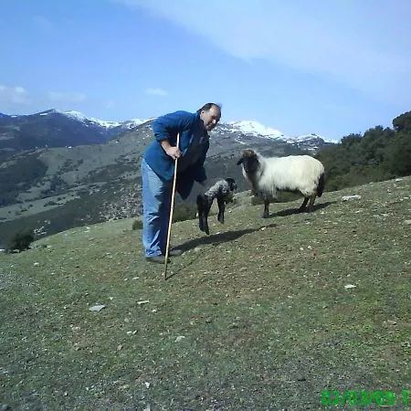 Luxury On Mountain With Great View