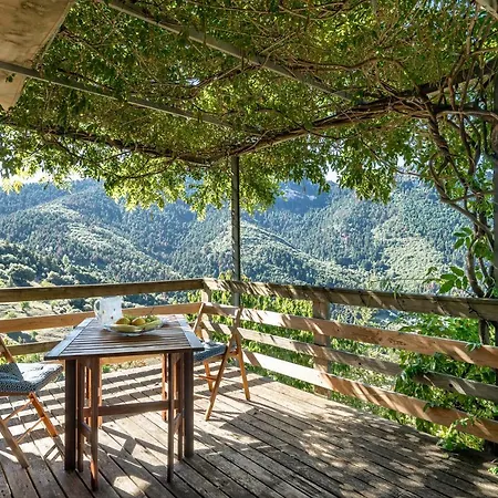 Luxury On Mountain With Great View Chalet Kalavryta