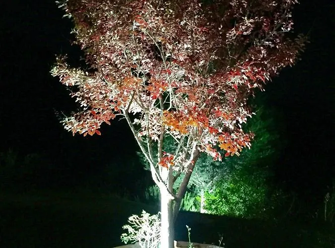 Alpstuga Luxury On Mountain With Great View