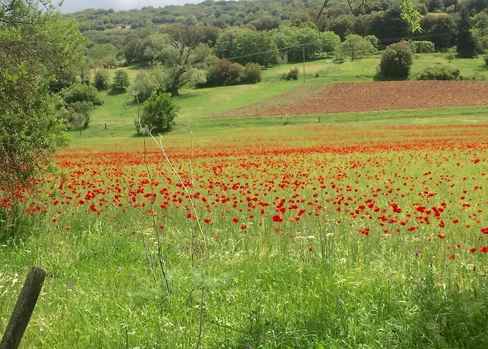 Luxury On Mountain With Great View * Kalavryta