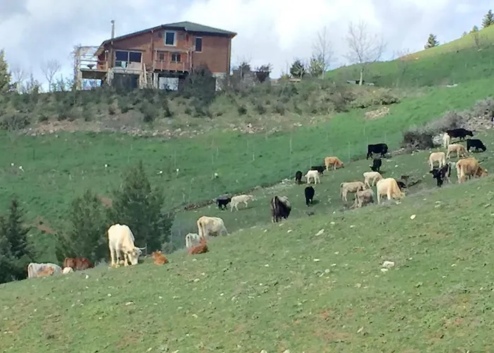 Luxury On Mountain With Great View *