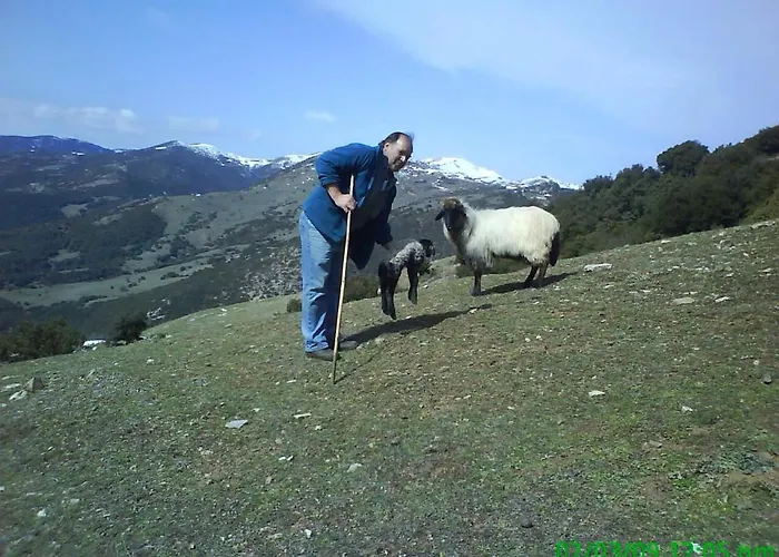 Luxury Chalet Villa On Mountain Top In Kalavryta With Amazing View