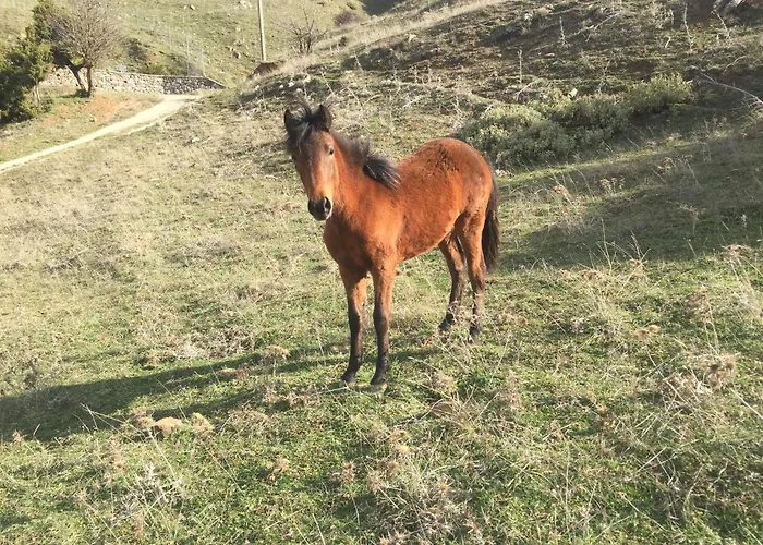 Luxury On Mountain With Great View Alpstuga